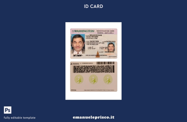 modello presente di carta d'identità USA Washington stile verificato 1